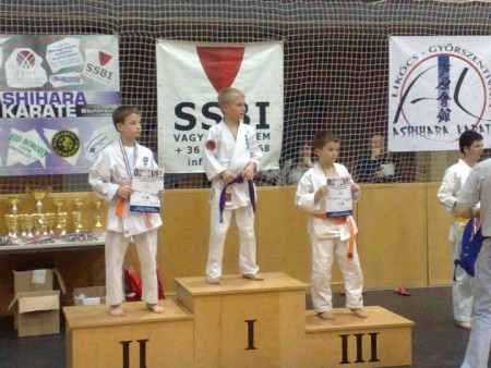 ASHIHARA KARATE GALA IX.